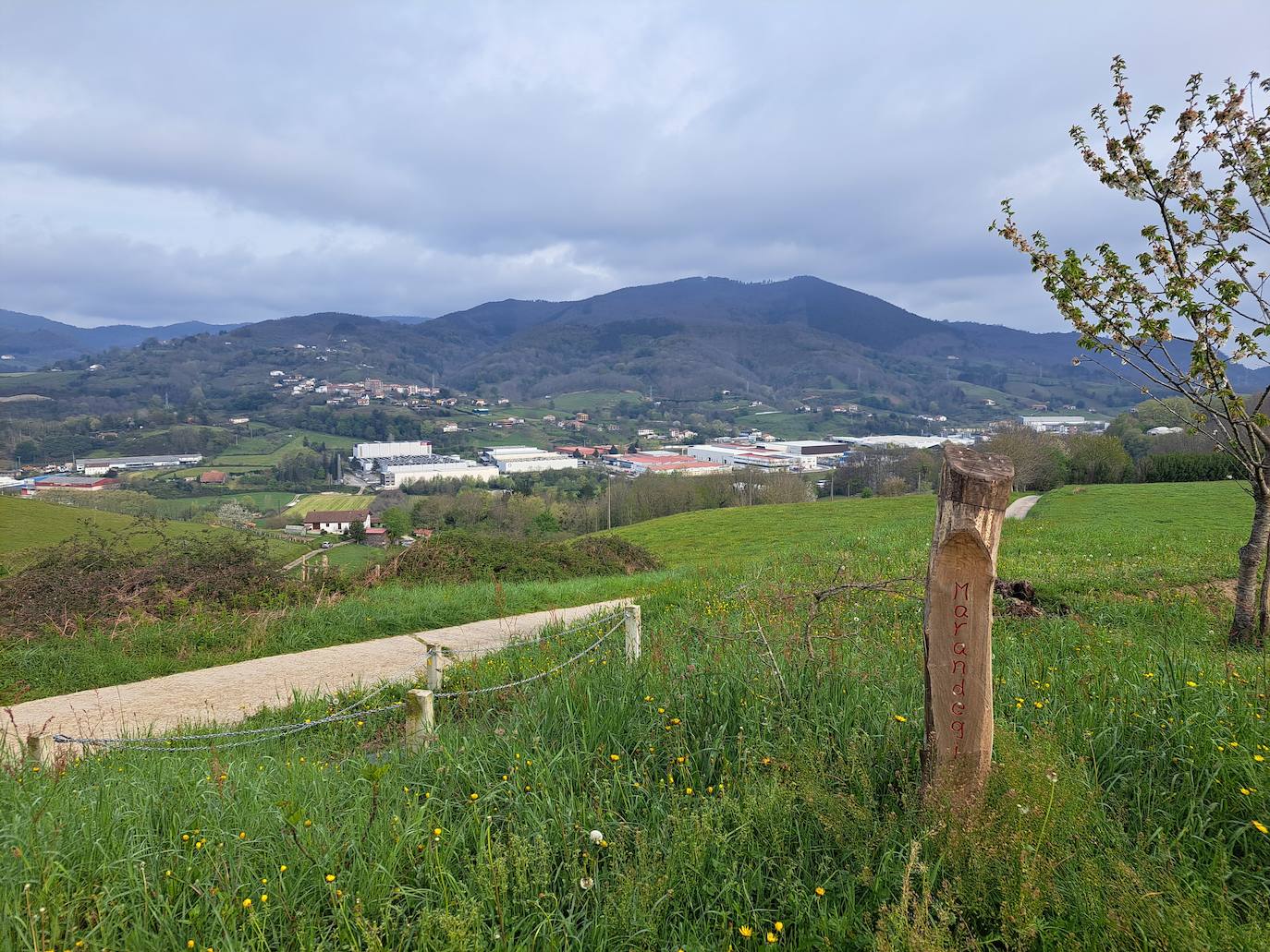 Oindolar, una recompensa primaveral