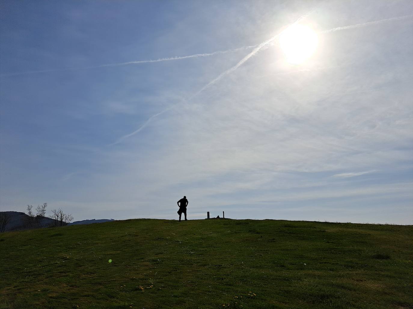 Oindolar, una recompensa primaveral