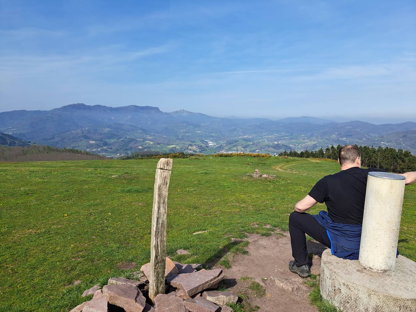 Oindolar, una recompensa primaveral