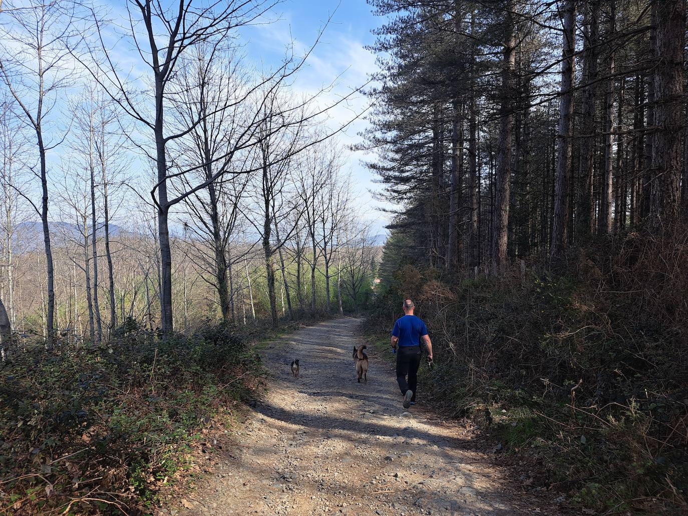 Oindolar, una recompensa primaveral