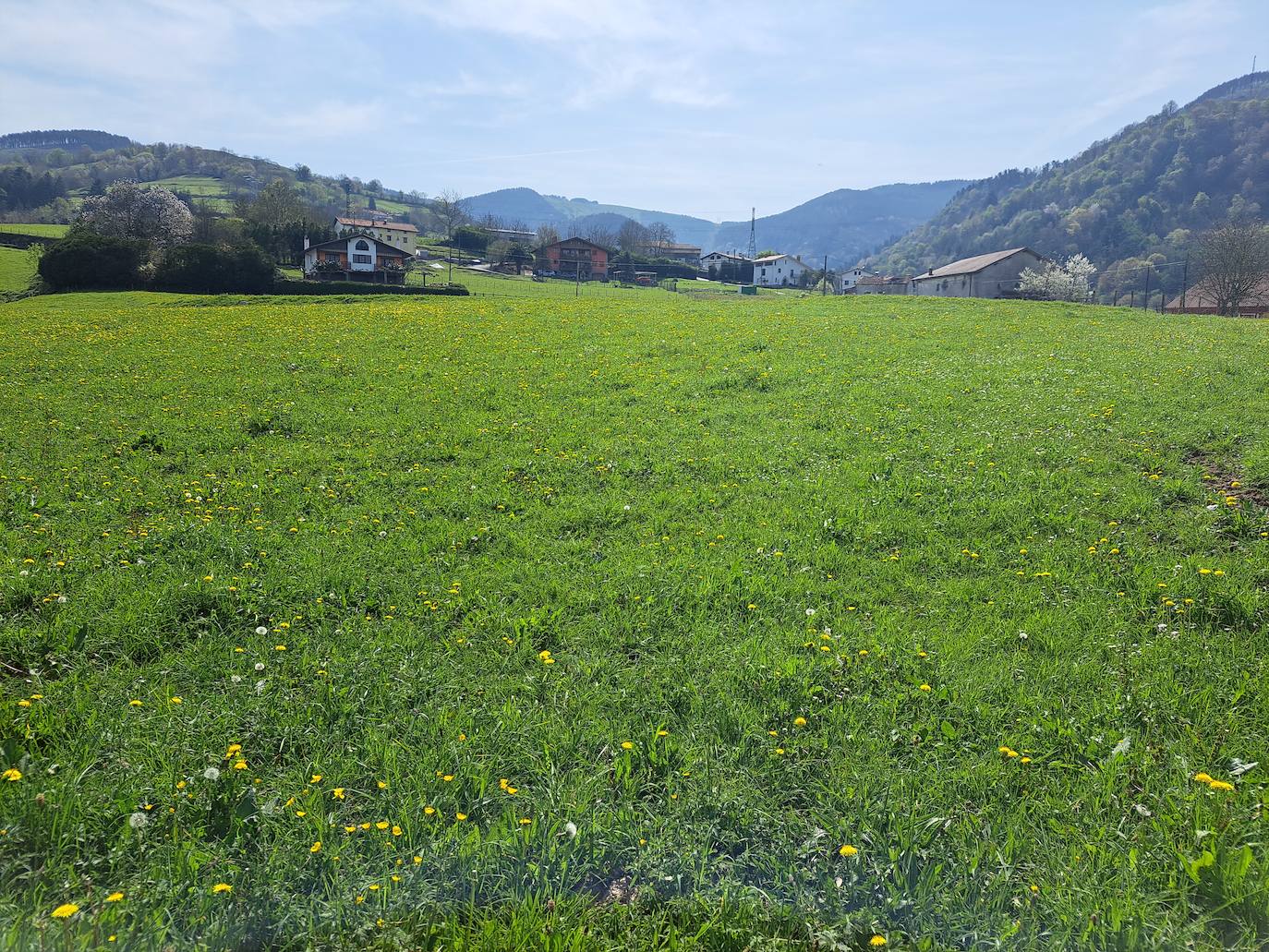 Oindolar, una recompensa primaveral