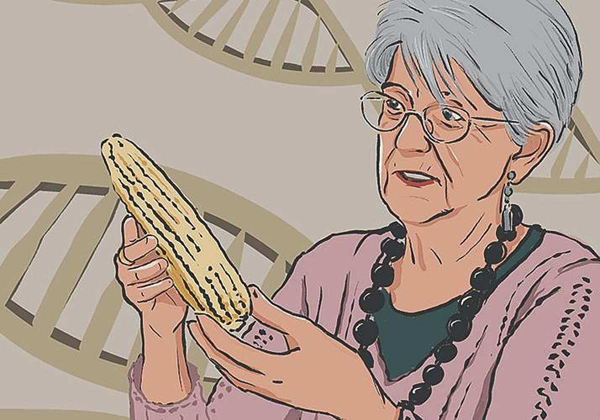 Mertxe Renobalesen ilustrazioa.