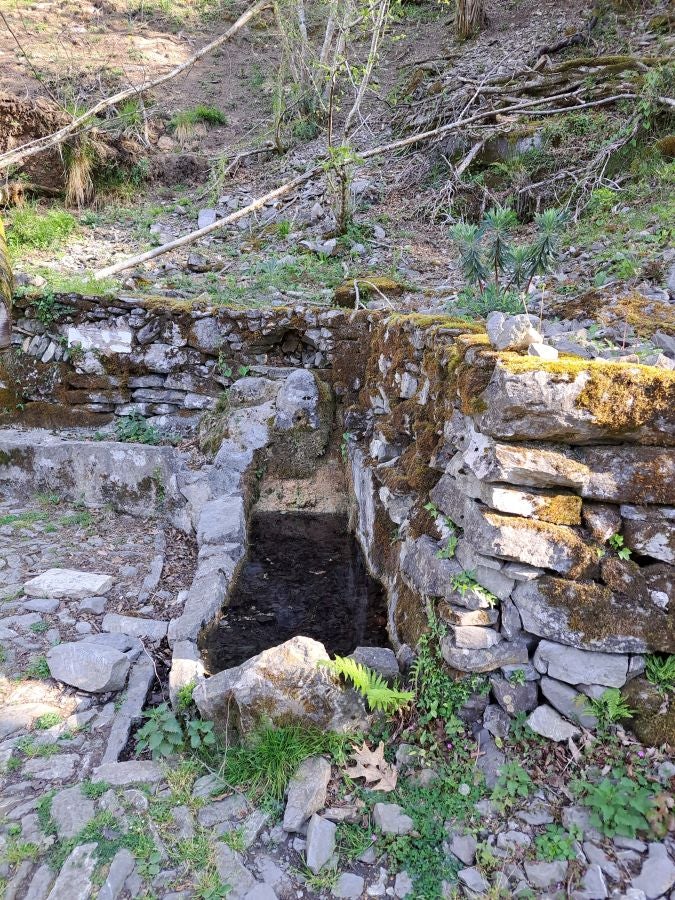 Pikuta, lejos del mundanal ruido