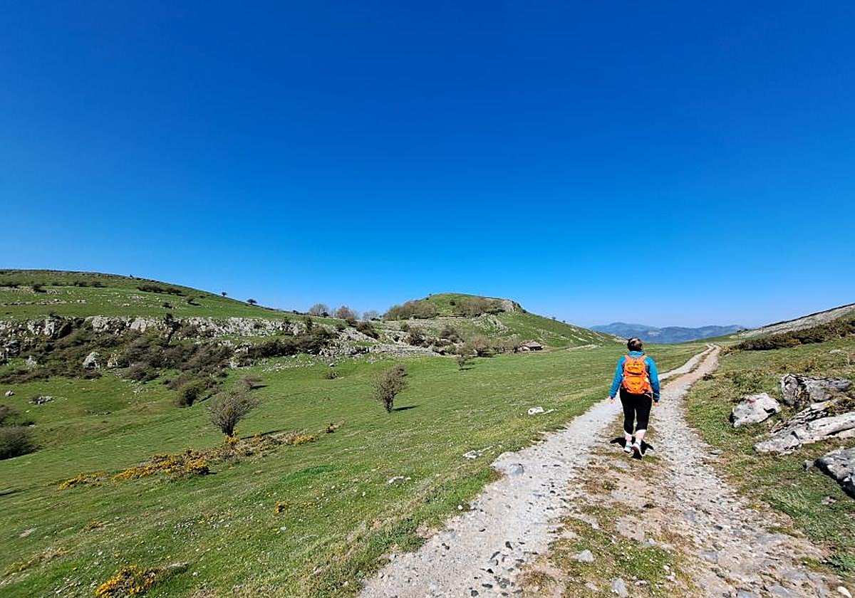 Pikuta, lejos del mundanal ruido