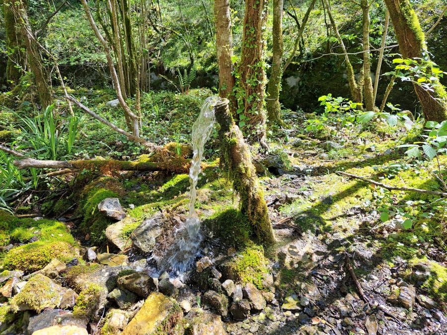 Pikuta, lejos del mundanal ruido