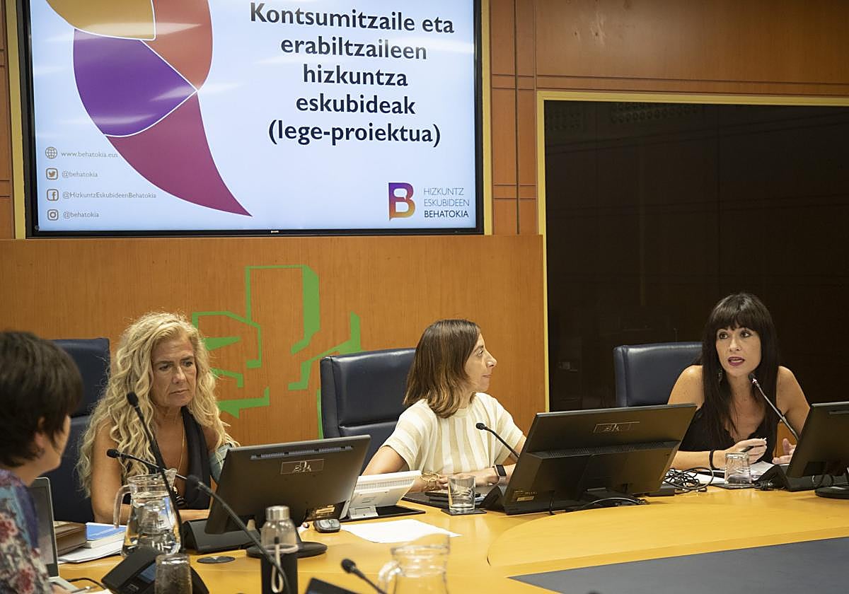 Agurne Gaubeka, Behatokiko zuzendaria, Eusko Legebiltzarreko batzordean ekarpenak egin zituen agerraldian.