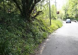Camino de Plaiaundi donde se produjo el siniestro.