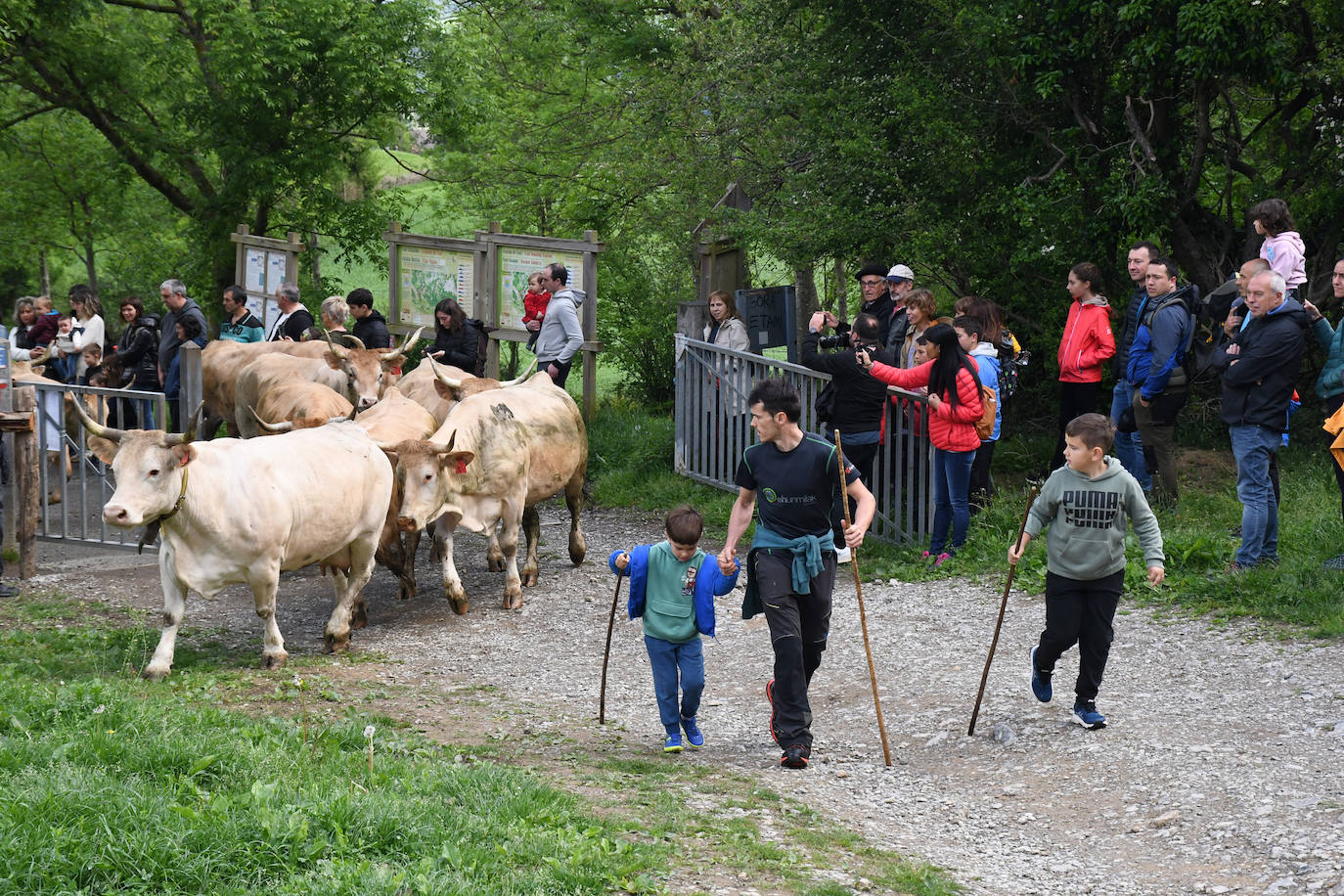 Apertura de pastos en Larraitz