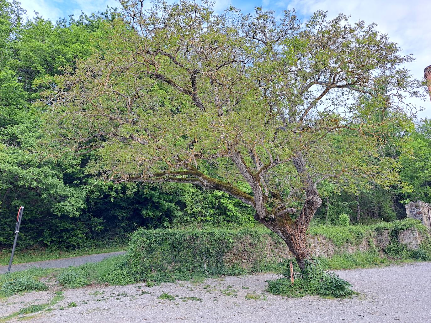 Un paseo por las nubes
