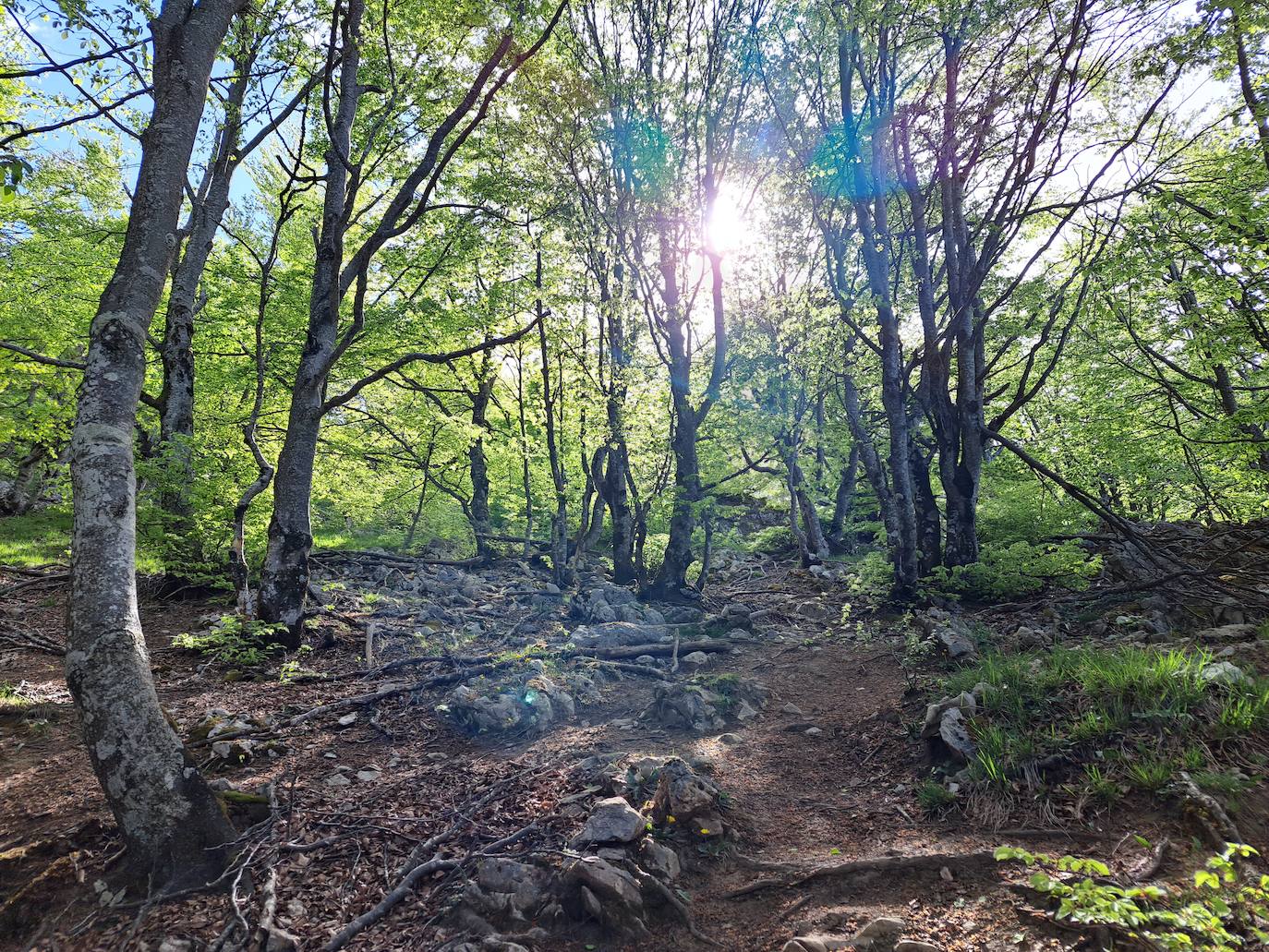 Un paseo por las nubes