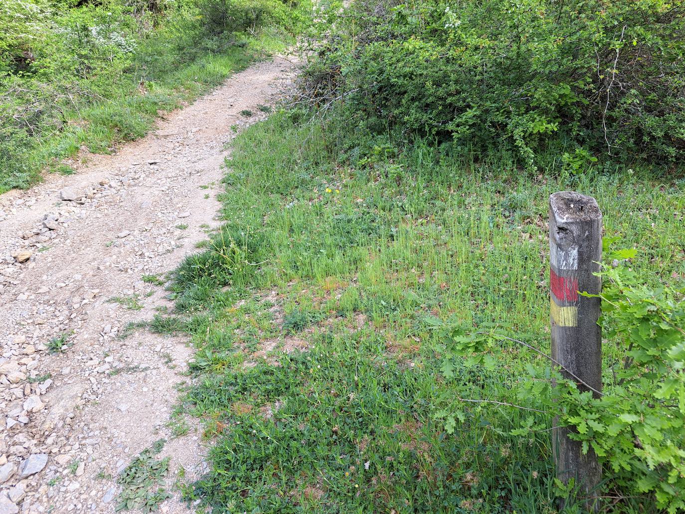 Un paseo por las nubes