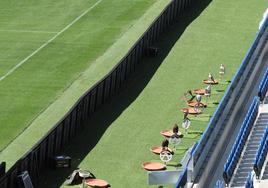 Las rapaces descansan antes de realizar un ejercicio en Anoeta.