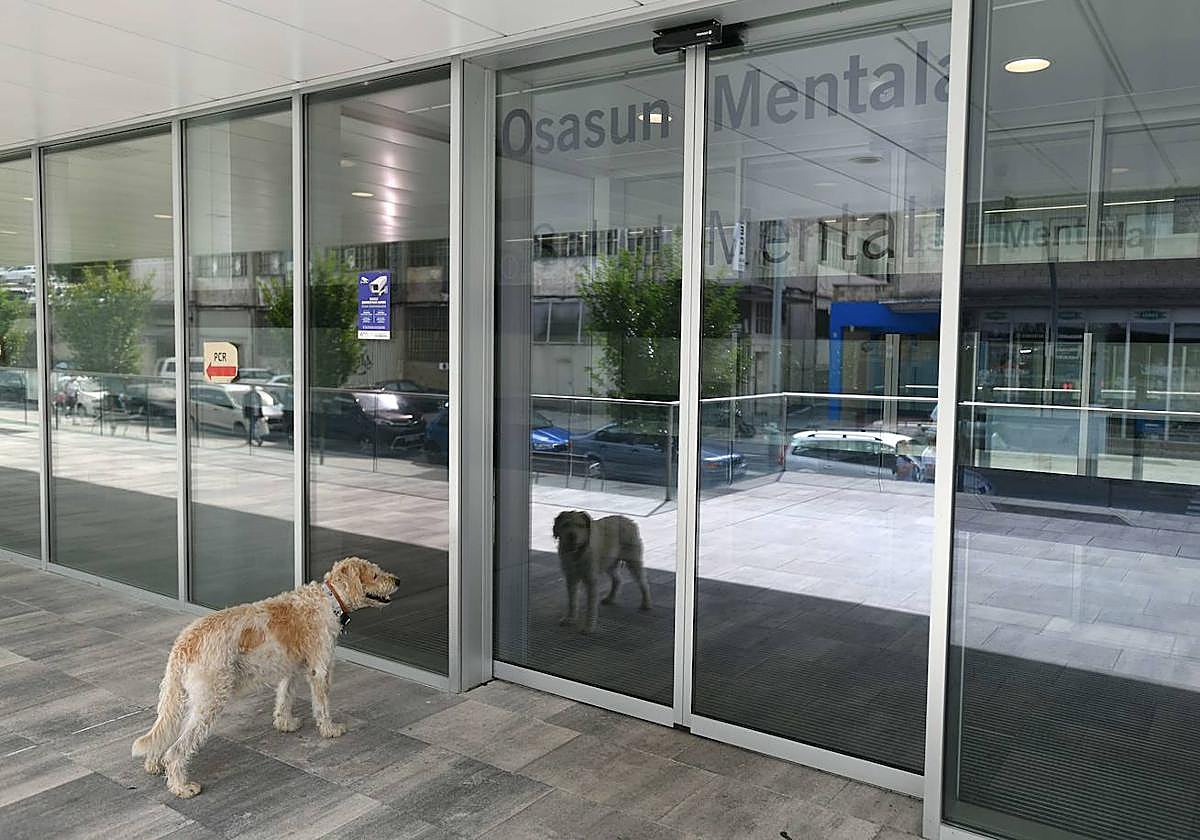 Un perro espera en la entrada de la Unidad de Salud Mental del Hospital de Eibar.