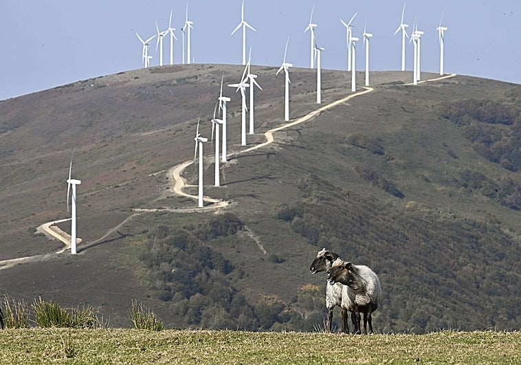 Gipuzkoa cuenta en la actualidad con tres parques eólicos, entre ellos el de la imagen (Elguea-Urkilla).