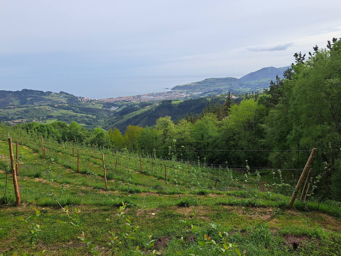 Indamendi, preciosa balconada de Pagoeta