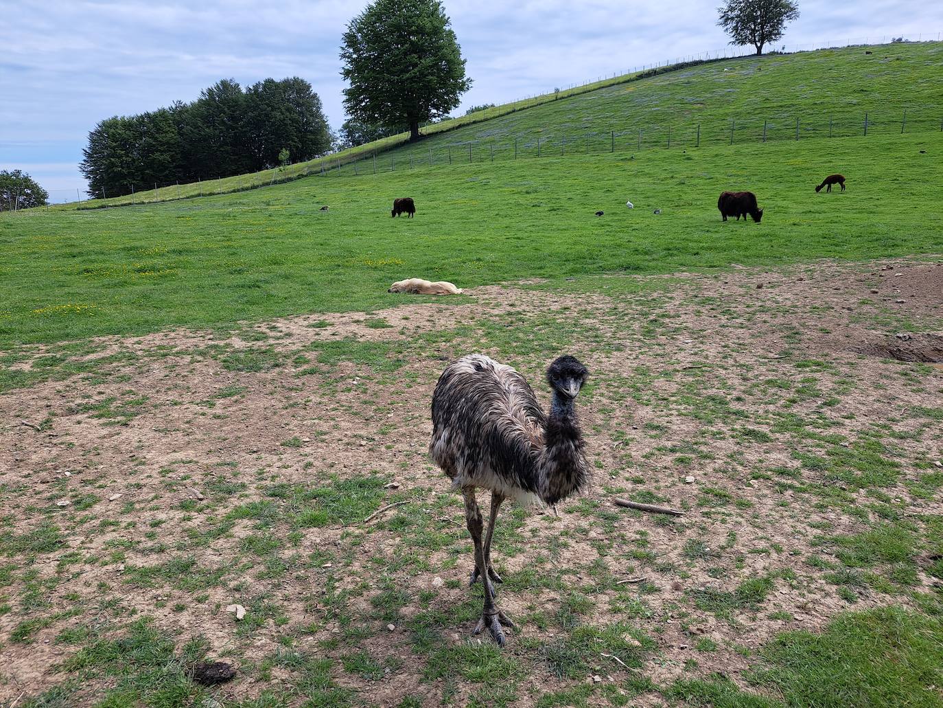 Indamendi, preciosa balconada de Pagoeta