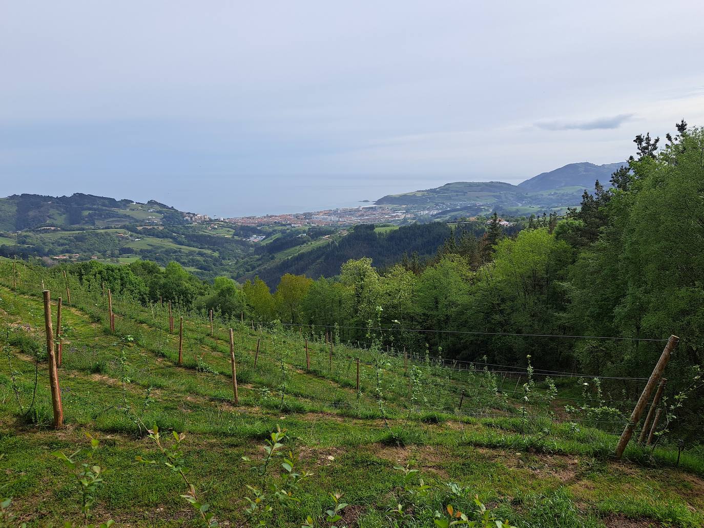 Indamendi, preciosa balconada de Pagoeta