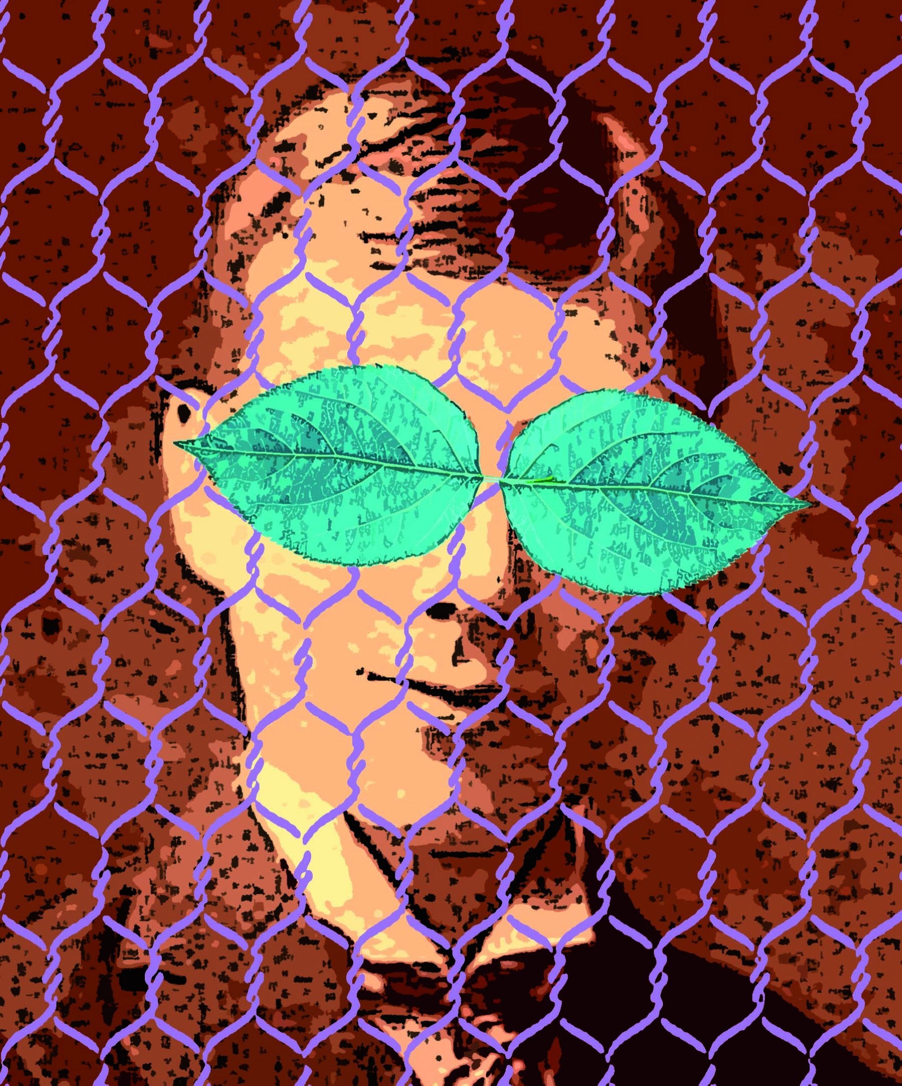 Innovación: creatividad y modelización