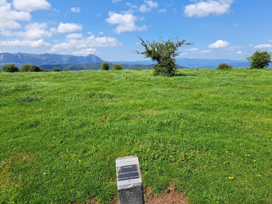 Explosión primaveral en la cima de Erroizpe