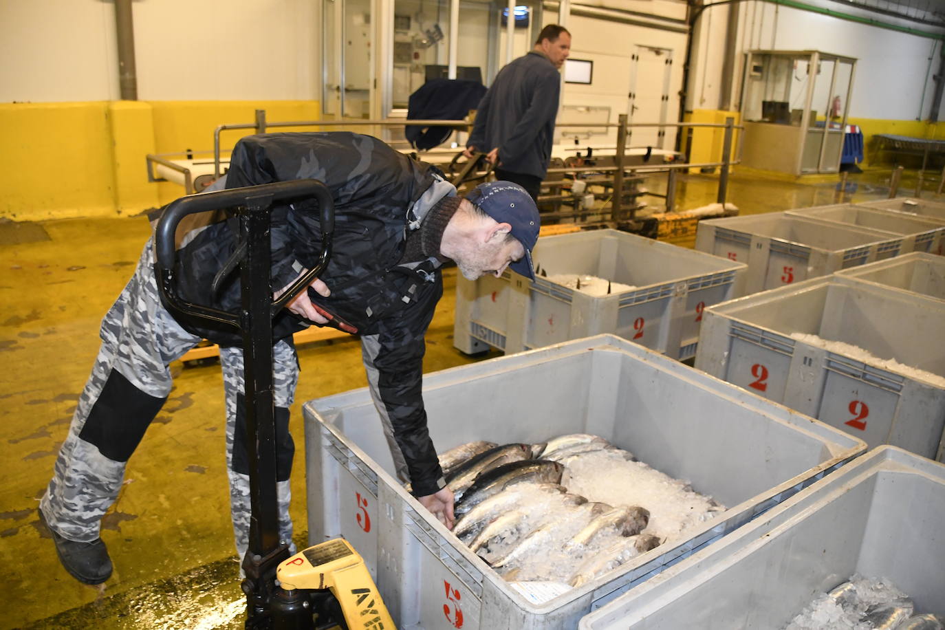 370 euros el kilo por el primer bonito