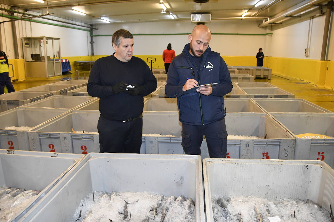 370 euros el kilo por el primer bonito