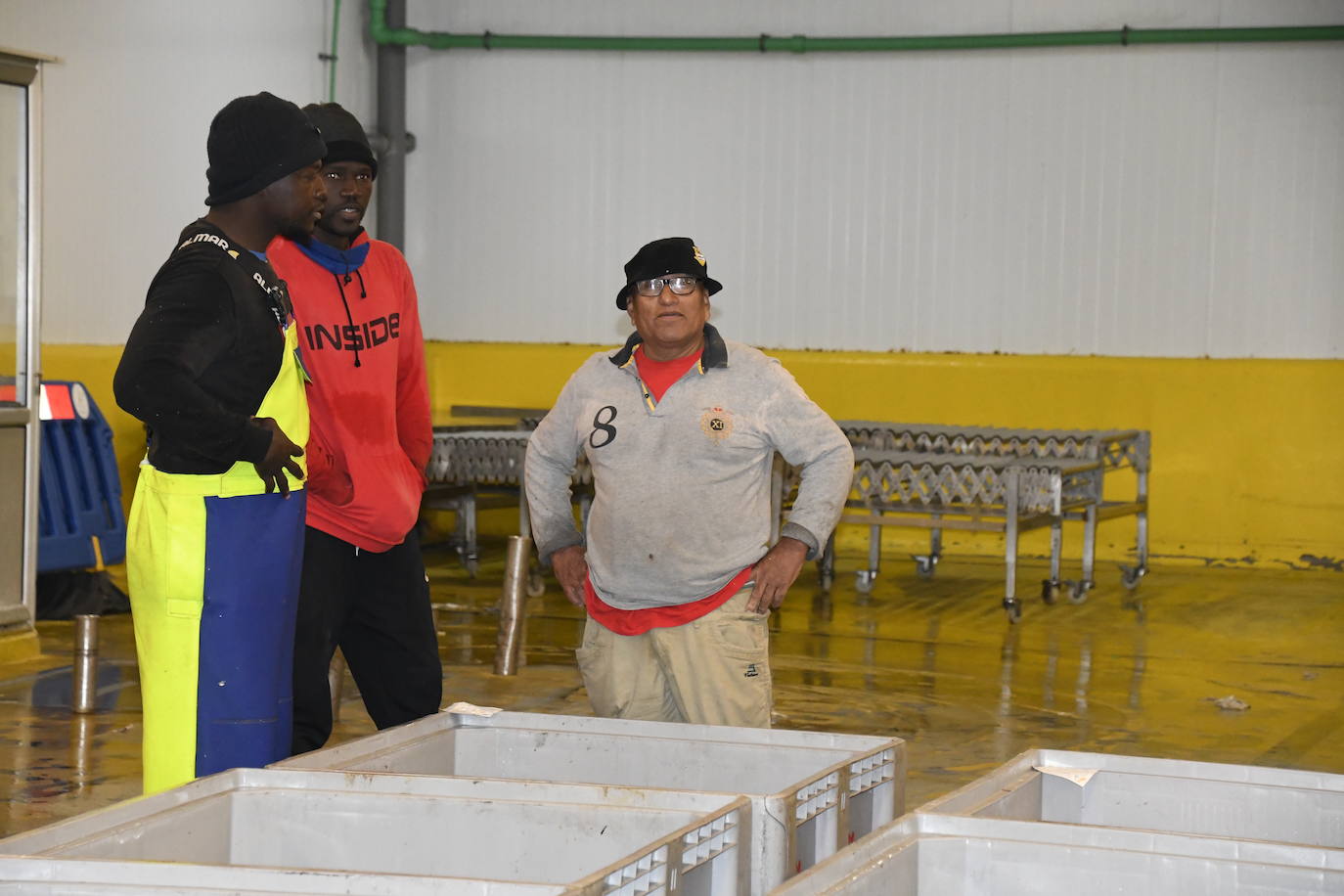 370 euros el kilo por el primer bonito