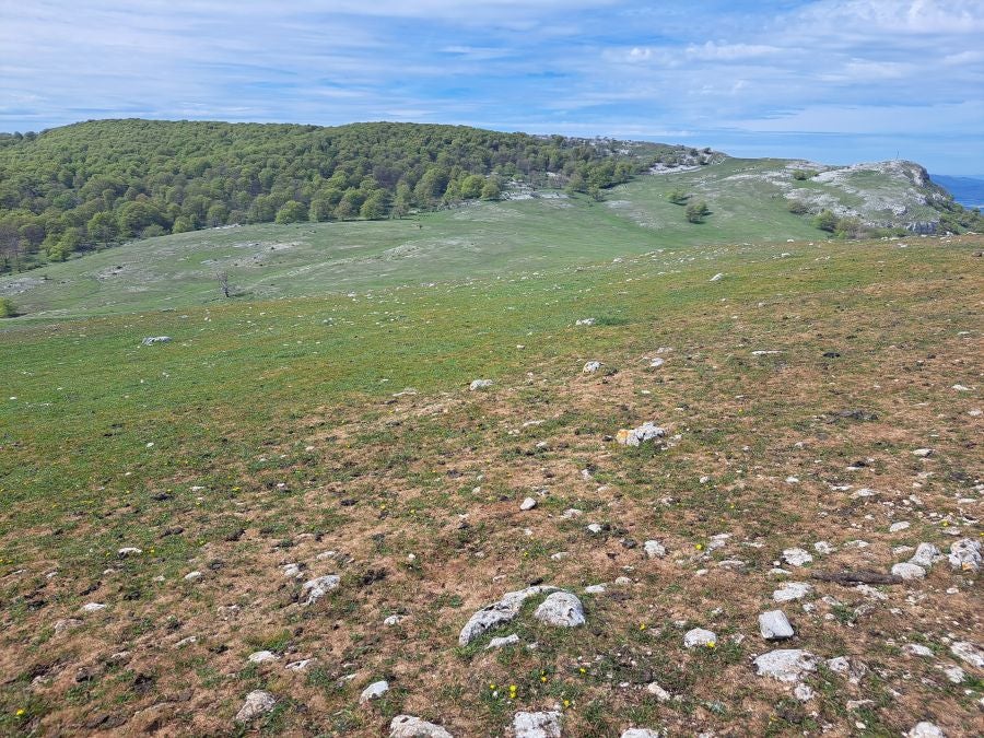 Mirutegi, un inmenso jardín con vistas