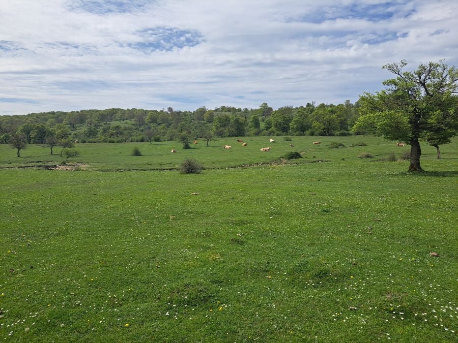 Mirutegi, un inmenso jardín con vistas