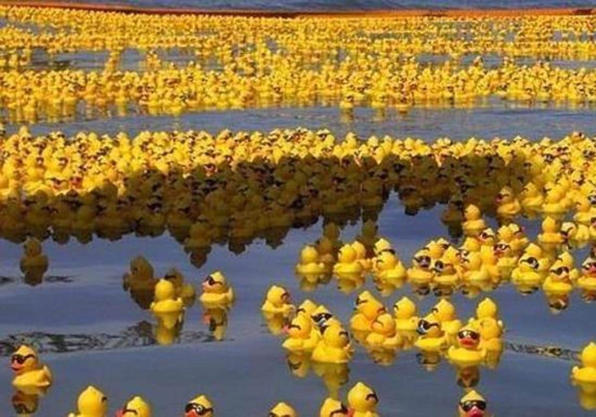 San Sebastián: 10.000 patos de goma volverán a «repoblar» el Urumea en San  Sebastián este sábado