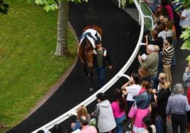 El hipódromo alza el telón