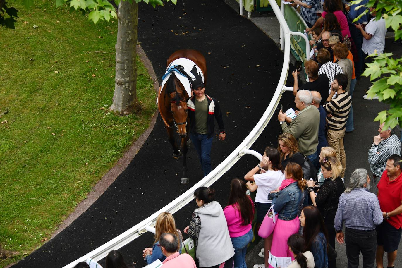 El hipódromo alza el telón