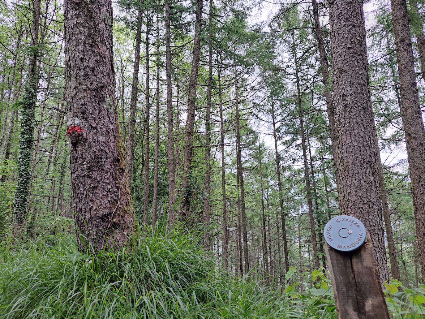 Izazpi, unas vistas que enamoran