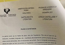 Captura de imagen del examen de Lengua Castellana y Literatura del País Vasco.