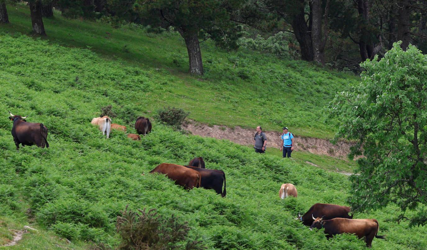 La búsqueda del desaparecido en Jaizkibel, en imágenes