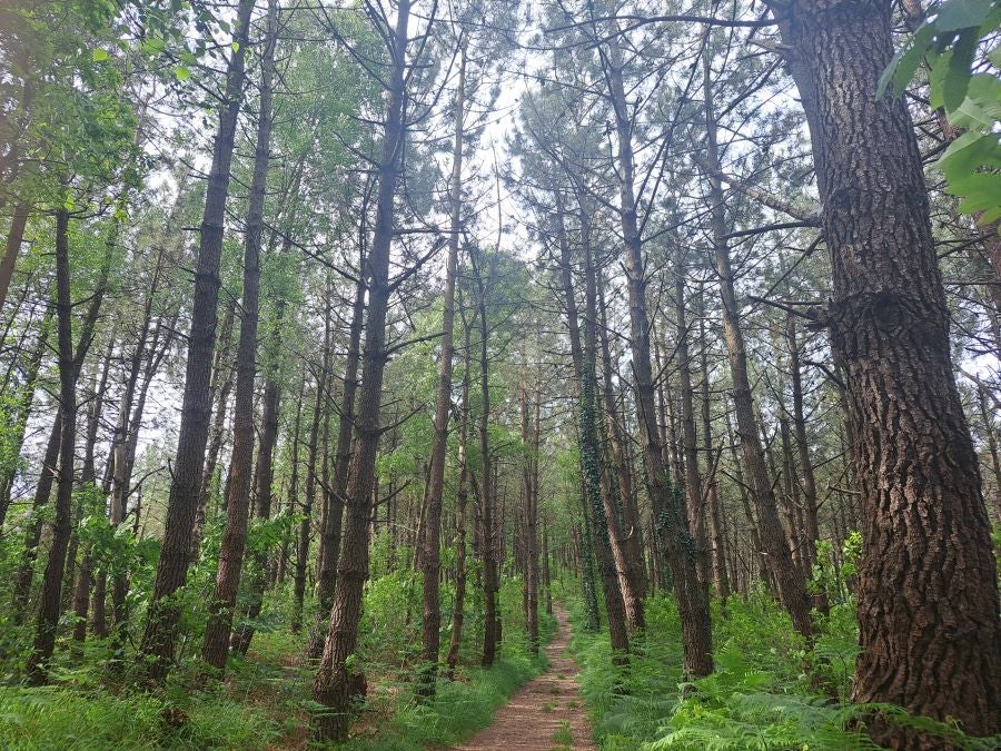 Belkoain, una cima con historia