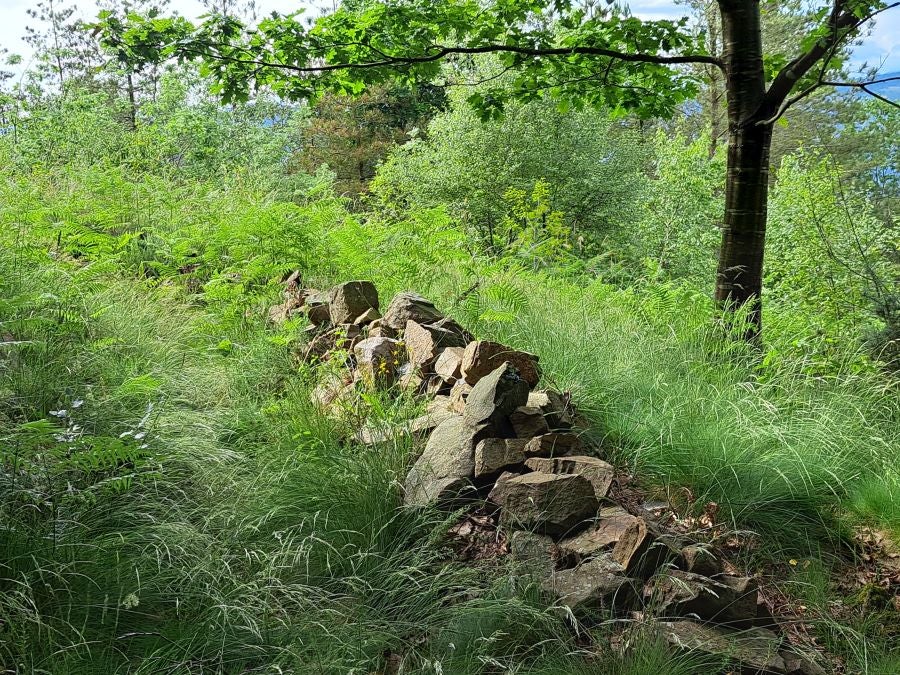 Belkoain, una cima con historia