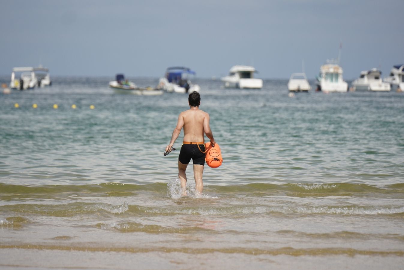 Bandera verde de nuevo en La Concha