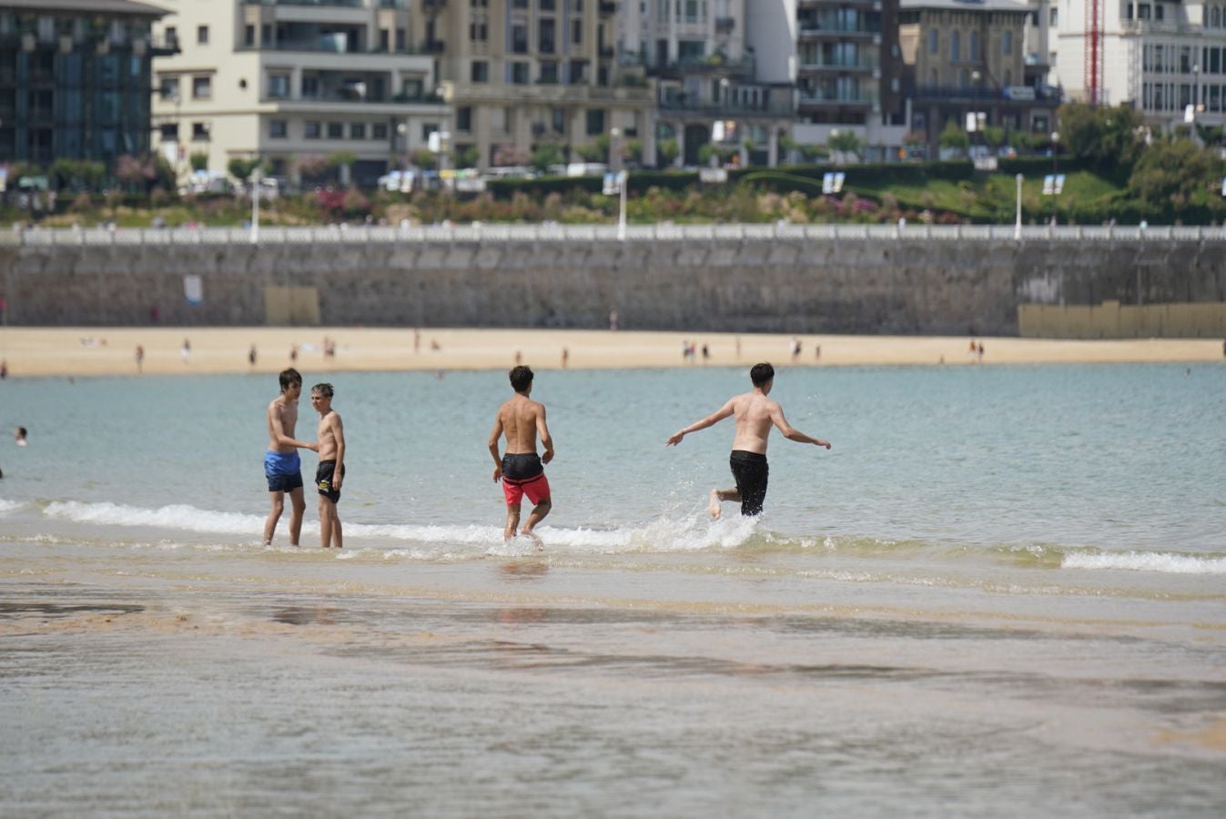 Bandera verde de nuevo en La Concha