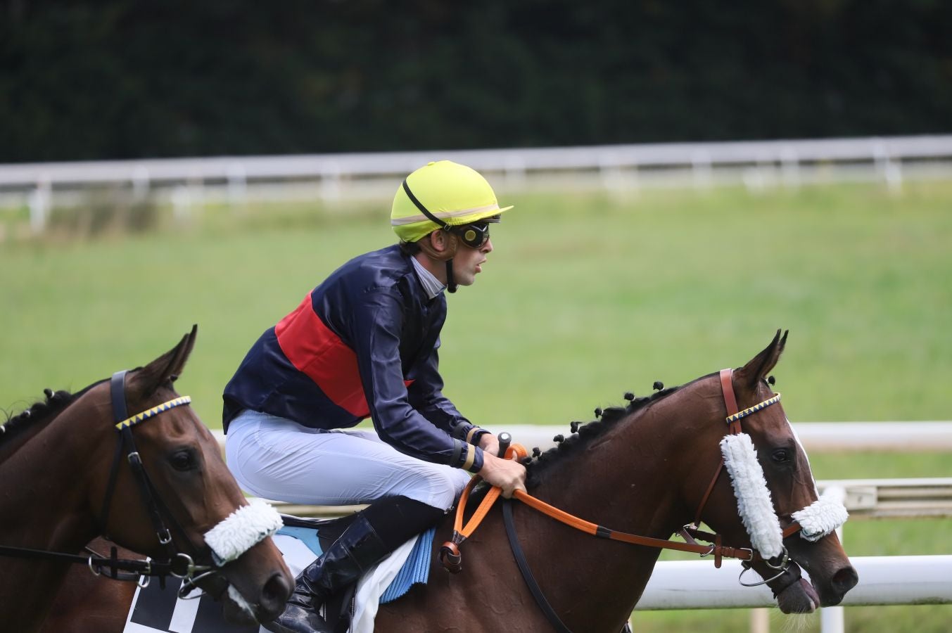Vuelven las carreras al hipódromo