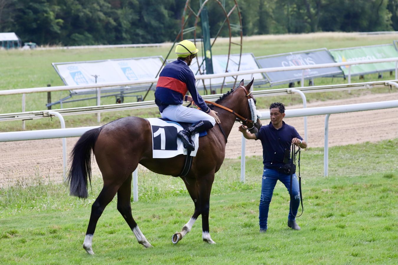 Vuelven las carreras al hipódromo