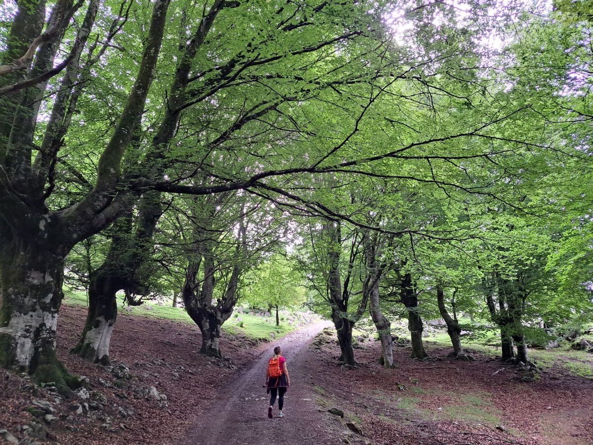 Xoxote, en el corazón de Izarraitz