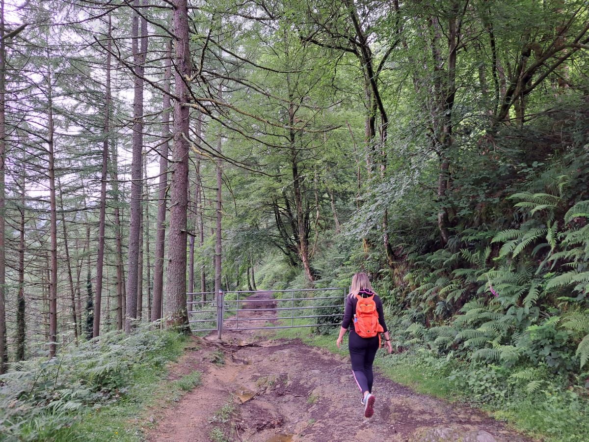 Xoxote, en el corazón de Izarraitz