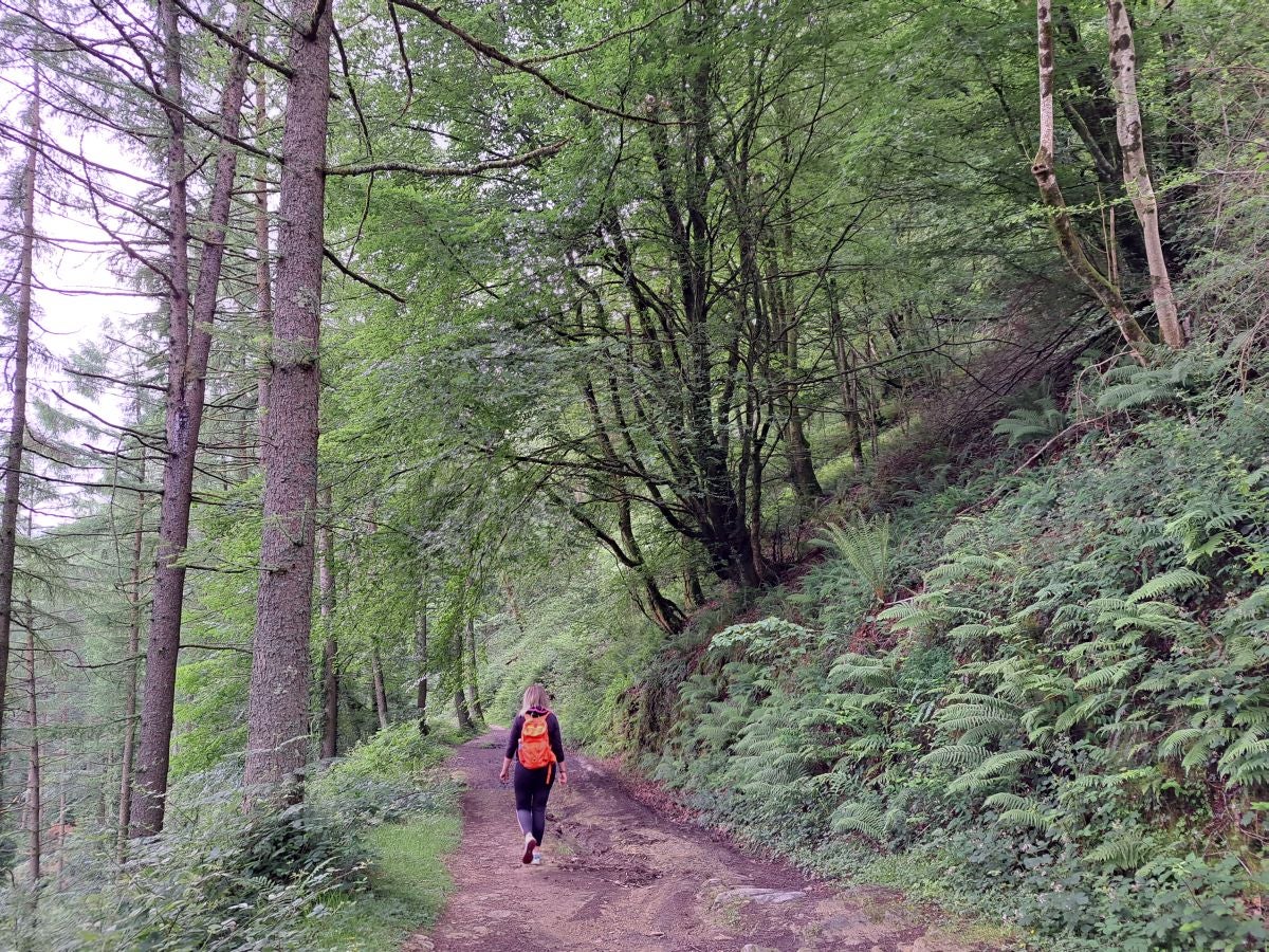 Xoxote, en el corazón de Izarraitz