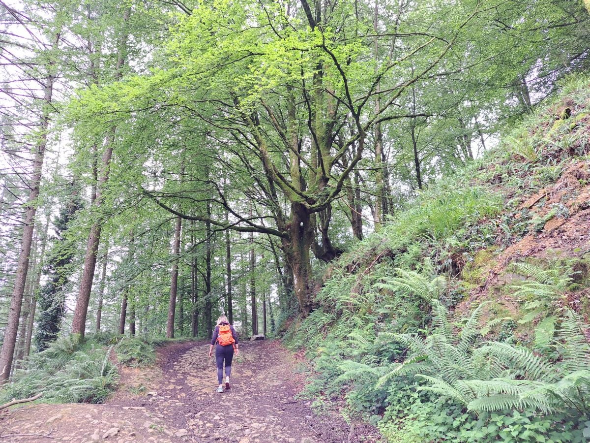 Xoxote, en el corazón de Izarraitz