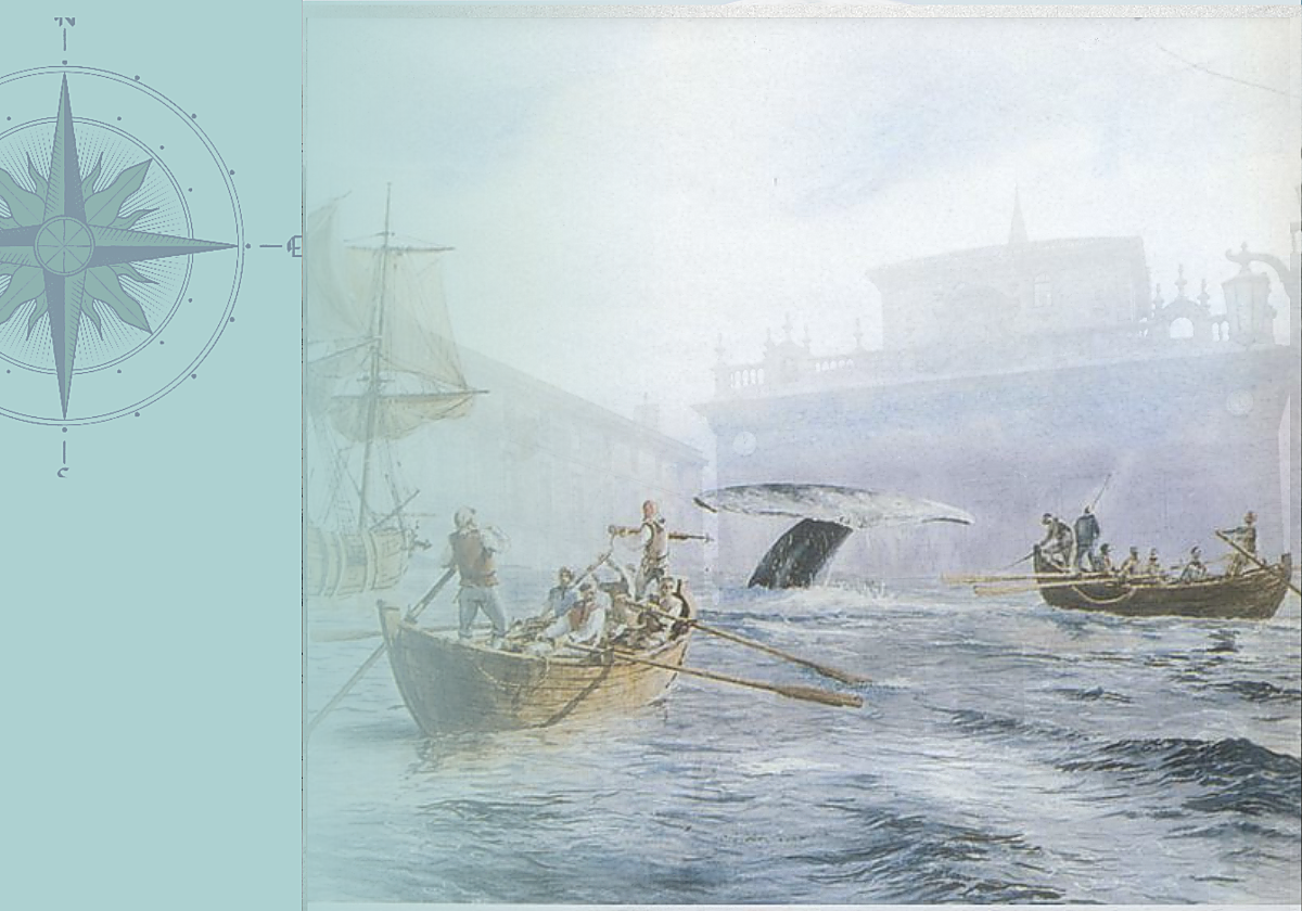 La gran aventura de Terranova