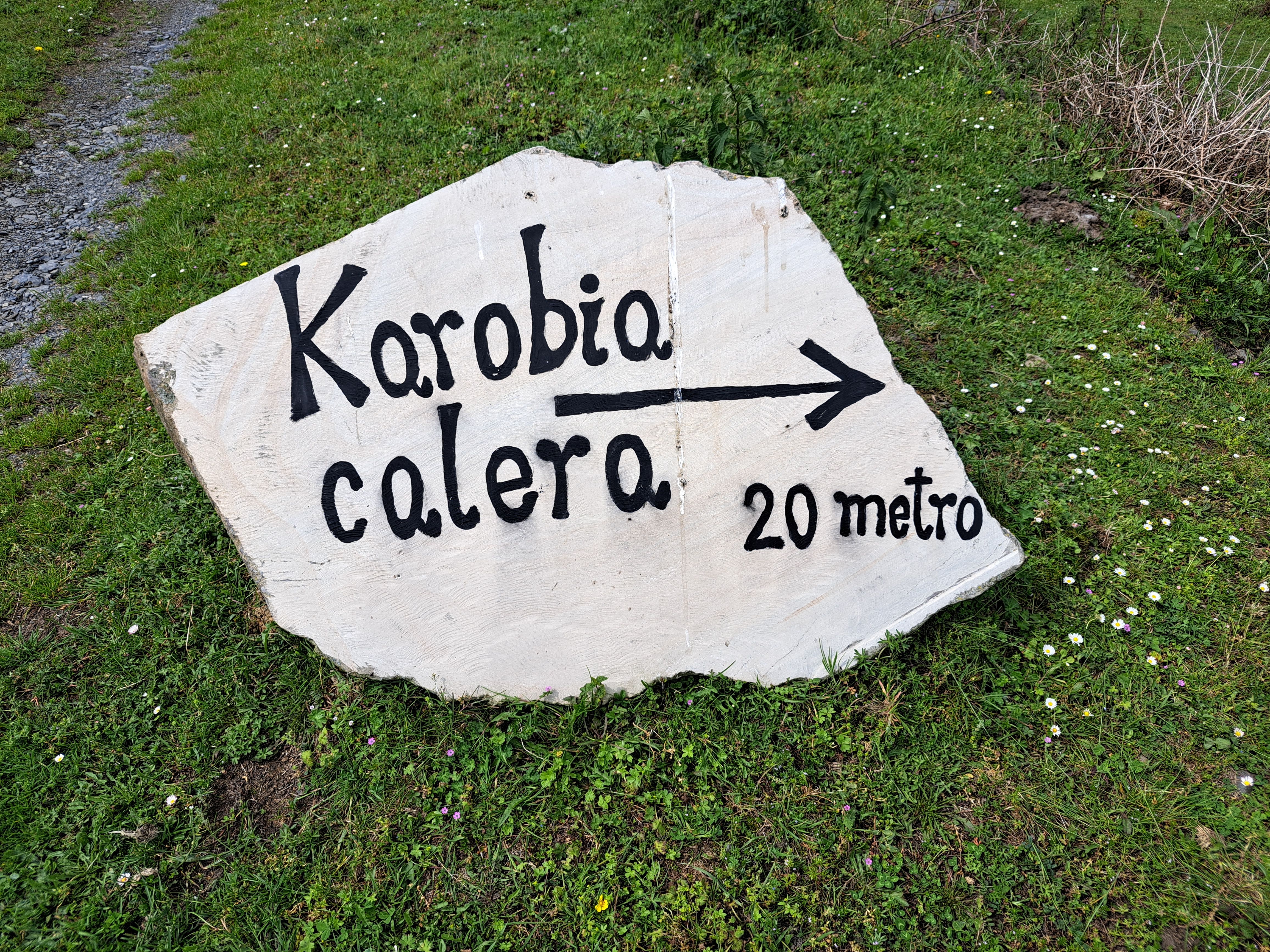 Entre bosques y Peru-Harri