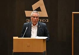 Asensio, durante su intervención en Juntas.