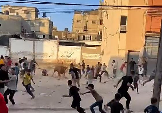 El caótico encierro de los Sanfermines de Gaza