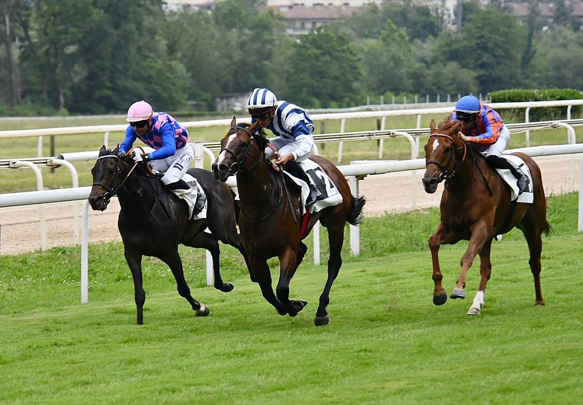 Nueva fase en un hipódromo que celebra su aniversario, hoy a partir de las 12 horas