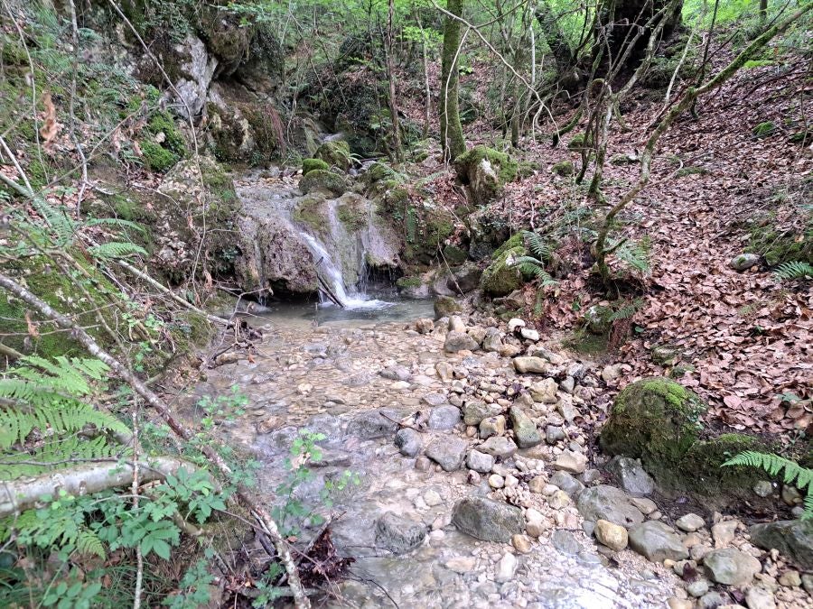 El suave manto de Belleku